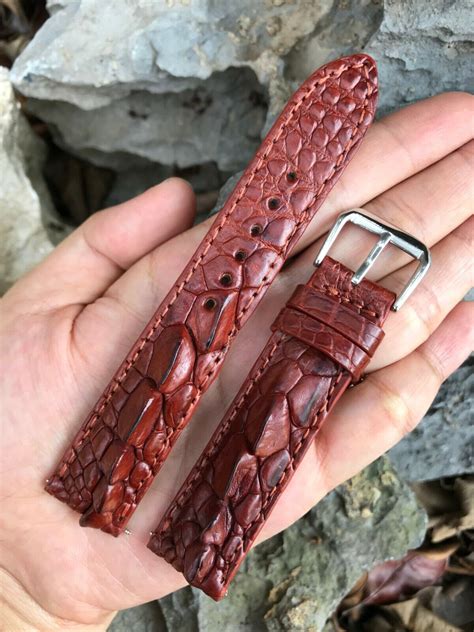 Brown Alligator Leather Strap .